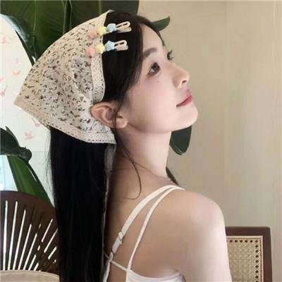 真假维梅尔